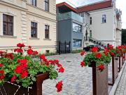 Top Leszno Top Leszno