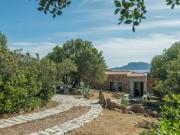 Top Pittulongu Top Pittulongu