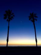 Top Oceanside