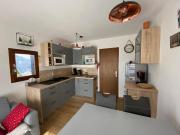 Appartement 4 pers, rez-de-jardin, près des pistes, parking, animaux acceptés - FR-1-733-117