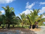 Top Kuala Kedah