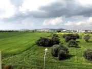 Top Pyla