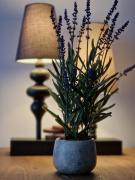 Top Gdańsk Top Gdańsk