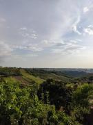 Top Batalha Top Batalha