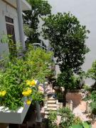 Moon house tropical garden - Coconut