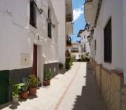 Top Canillas de Aceituno Top Canillas de Aceituno