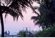 Top Malvan