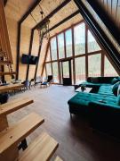 Top Broşteni Top Broşteni