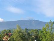 Top Zawoja Top Zawoja