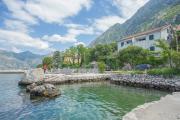 Top Kotor
