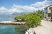 Top Kotor