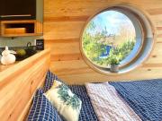 Top Brzozie Top Brzozie