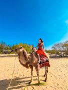 Top Ấp Nhơn Ðúc