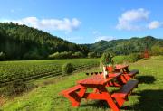 Top Guerneville