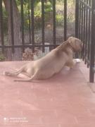 Top Olesa de Bonesvalls