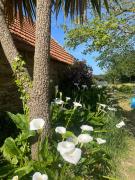 Top Plounévez-Lochrist