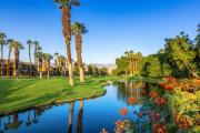 Top Palm Desert