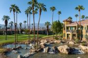 Top Palm Desert