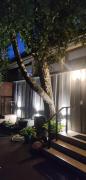 Apartamentai Sinagogos 9