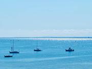 Bay Rd Kids & Pet Friendly Free Parking