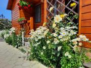 Top Dunavăţu de Jos