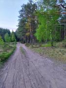 Top Olszowa Droga Top Olszowa Droga