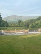 Roe Retreat Roe Retreat