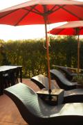 Top Chiang Dao