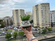 Top Bucharest Top Bucharest