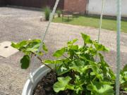 Top Hajdúszoboszló