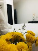 Top Puerto Escondido