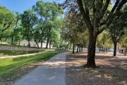 Top Lucca
