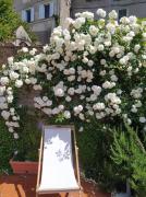 Top Anguillara Sabazia