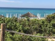 Top Torre Lapillo