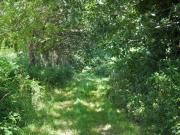 Top Guiler-sur-Goyen Top Guiler-sur-Goyen