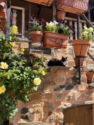 Top Murias de Rechivaldo