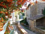 Top Castellina in Chianti