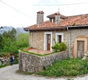Top Pandiello