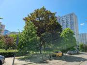 Top Warszawa Top Warszawa