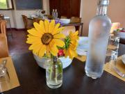 Top Reggello Top Reggello