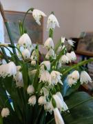 Top Reggello Top Reggello