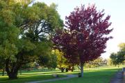 Top Fort Erie