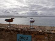 Top Nazaré