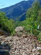 Top La Ceiba