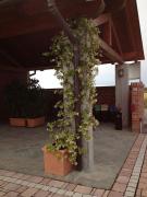 Top Casale Monferrato