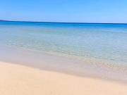 Top Marina San Gregorio