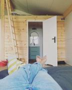 Top Gogołów Top Gogołów