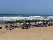 Top Torrevieja