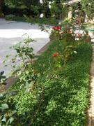 Top Città della Pieve