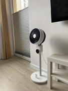 Top Gdańsk Top Gdańsk